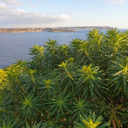 Ta' Rosalba B&B Nadur Εξωτερικό φωτογραφία